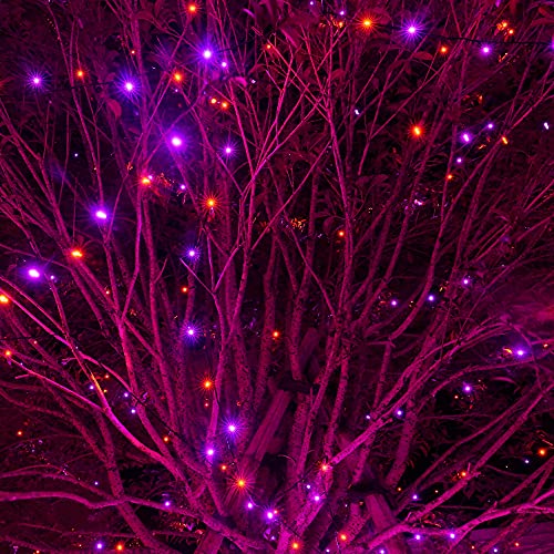 DAZZLE BRIGHT Halloween 300 LED String Lights, 100FT String Lights with 8 Lighting Modes, Halloween Decorations for Party Carnival Supplies, Outdoor Yard Garden Decor (Purple &#x26; Orange)