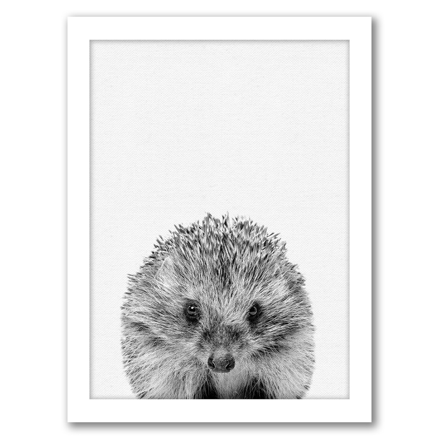 Hedgehog by Nuada Frame  - Americanflat