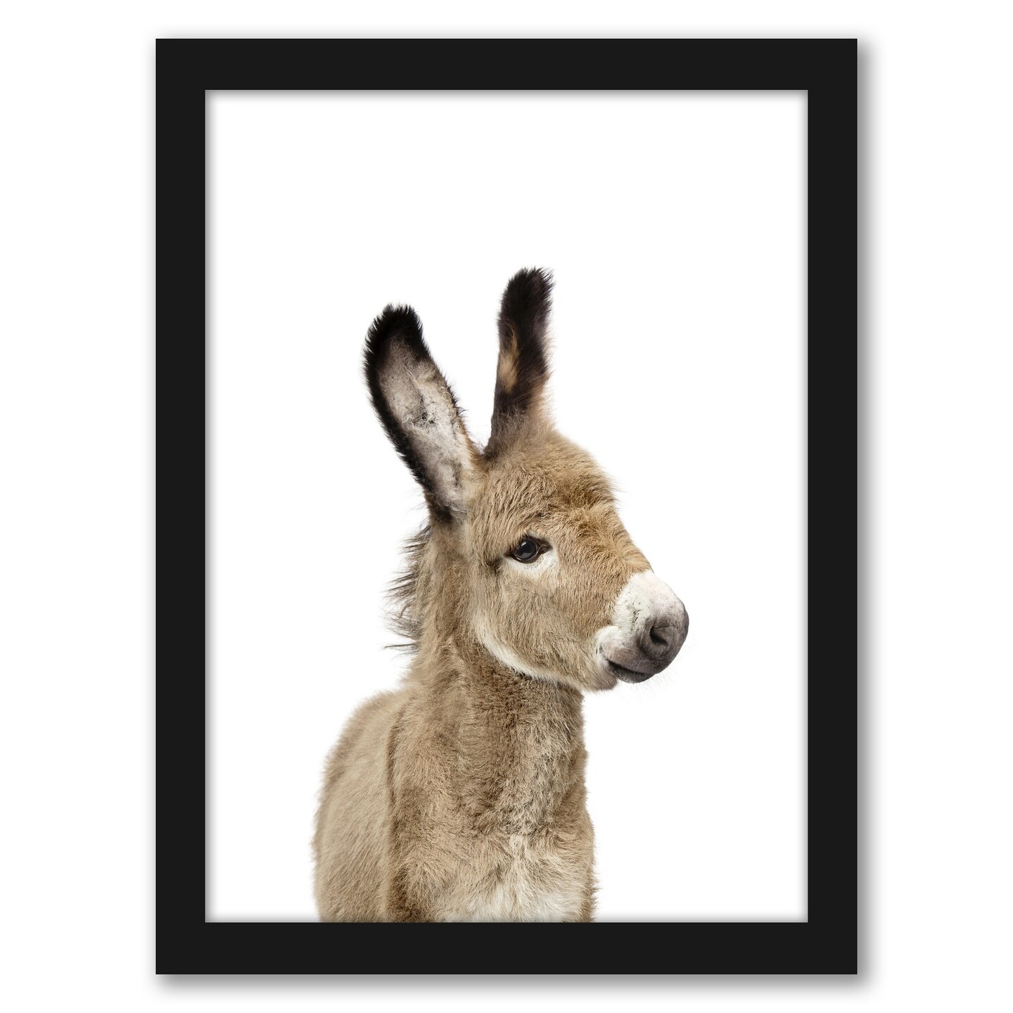 Little Donkey by Sisi And Seb Frame  - Americanflat