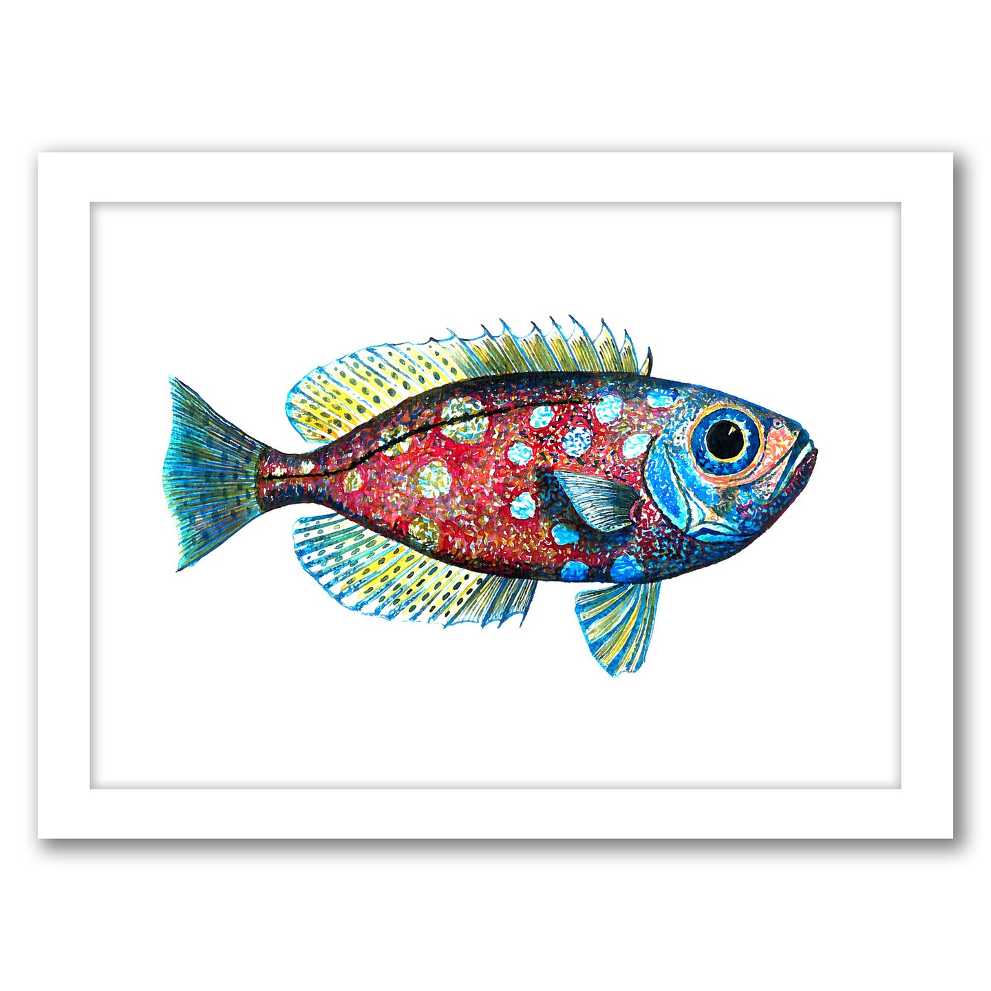 Glasseye Snapper 1 by T.J. Heiser Frame  - Americanflat