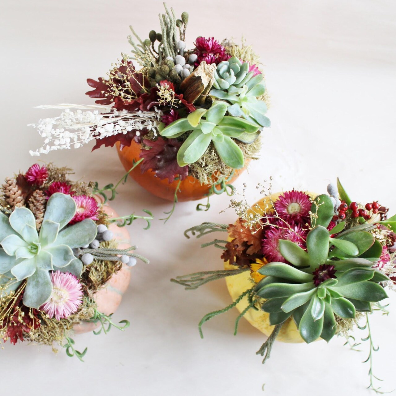 Succulent Pumpkin Centerpieces Workshop