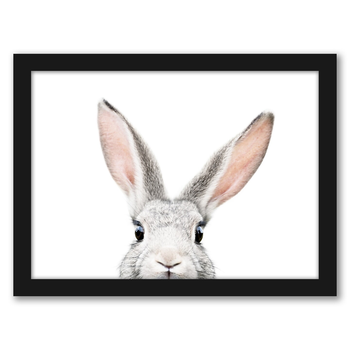 Peekaboo Bunny by Sisi And Seb Frame  - Americanflat