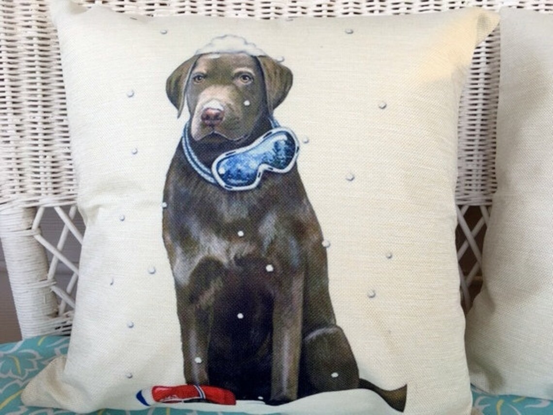 Dog Pillow Black Labrador Pillow Personalized Black Lab Dog Photo