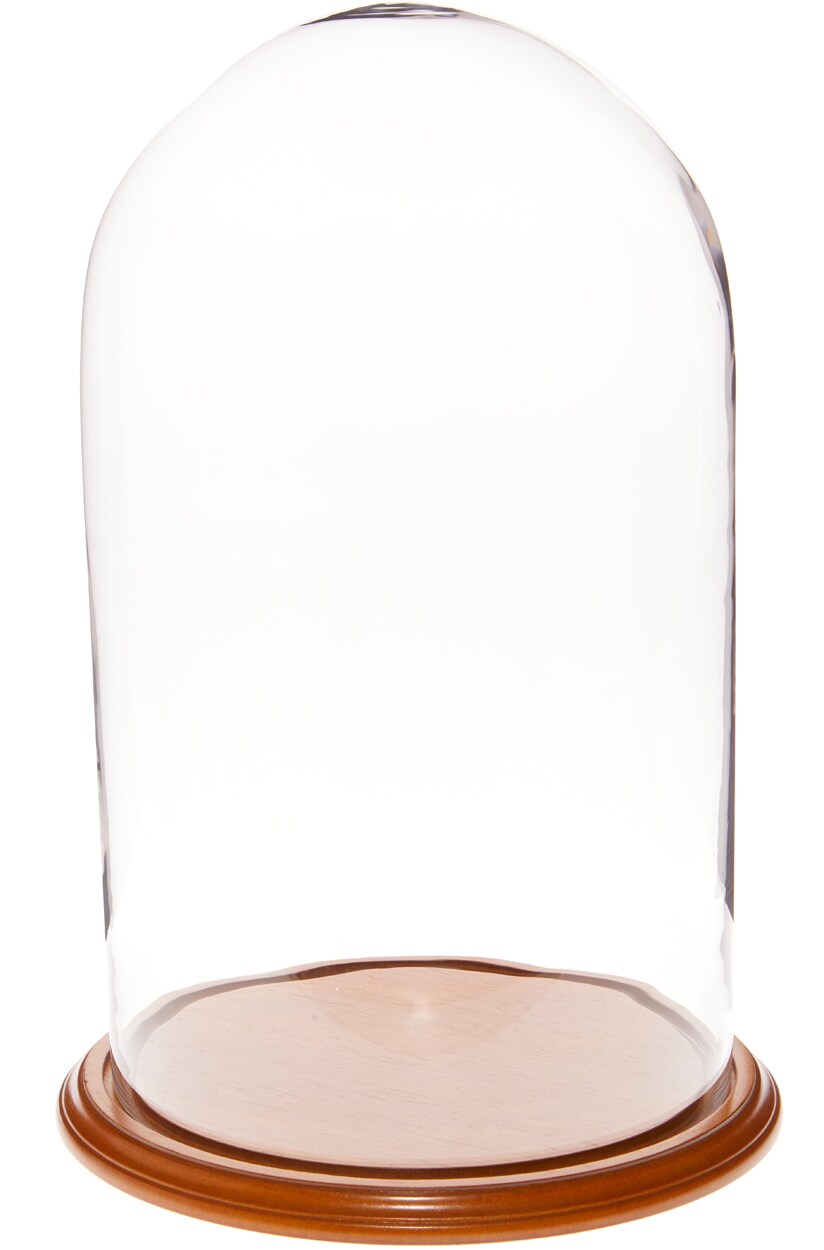 Plymor 11.75" x 20" Glass Display Dome Cloche Michaels