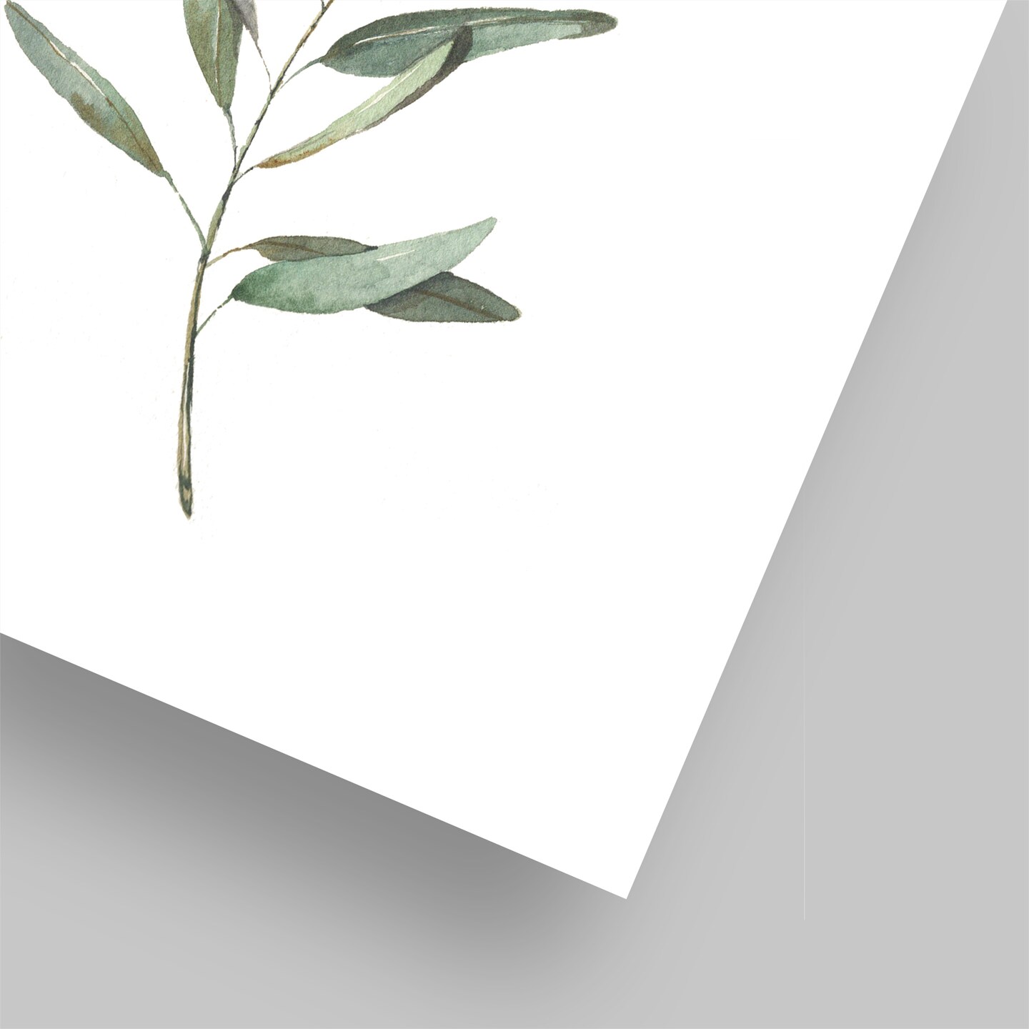 Olive Branch Art Print – Cami Monet