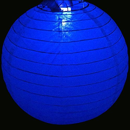 Acmee Non-Blinking Water Proof LED Mini Light Light up Paper Lanterns,Balloons,or Vase for Birthday Party or Wedding Decoration (Blue, Pack of 24)