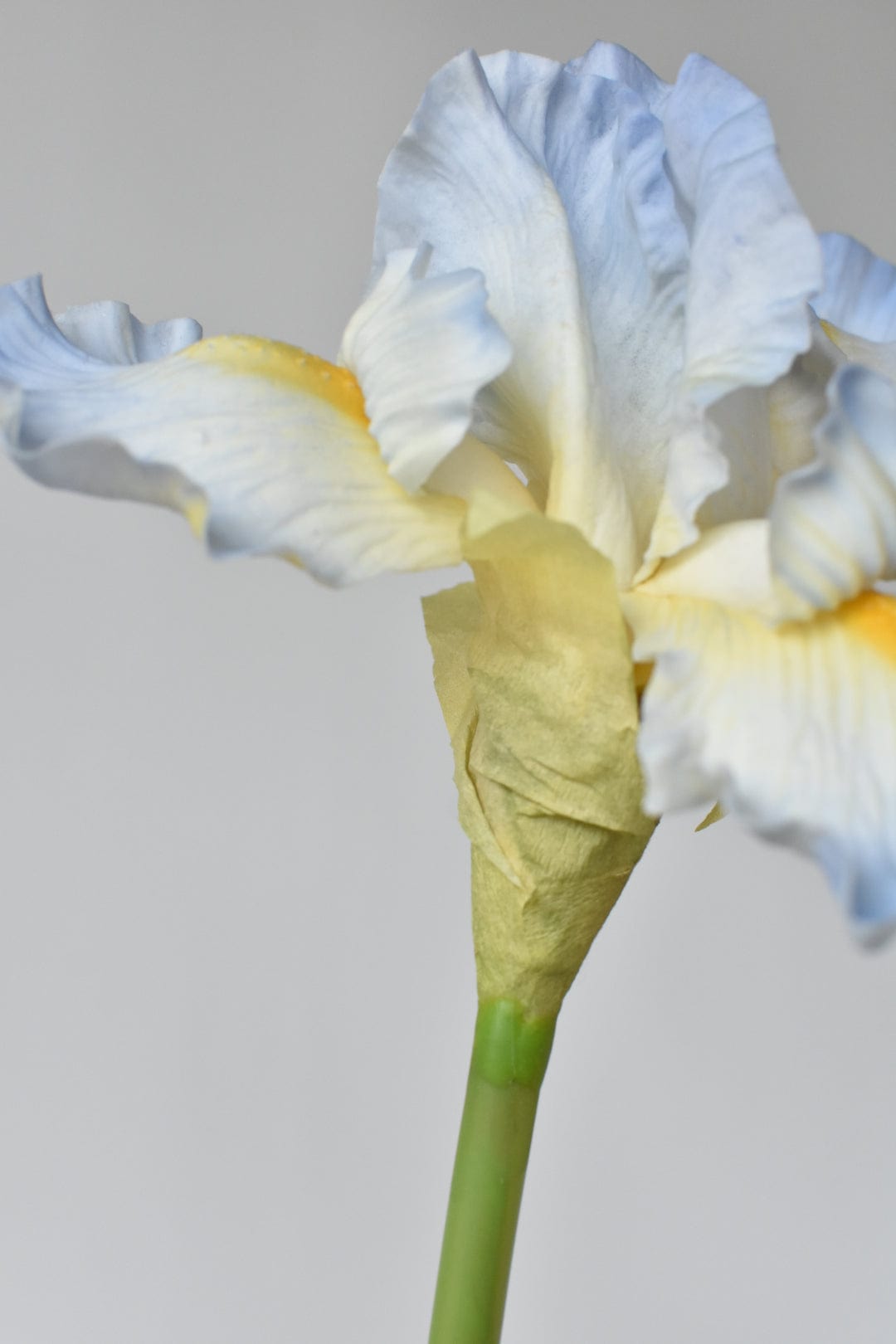 30&#x22; Real Touch Faux Light Blue Iris Stem