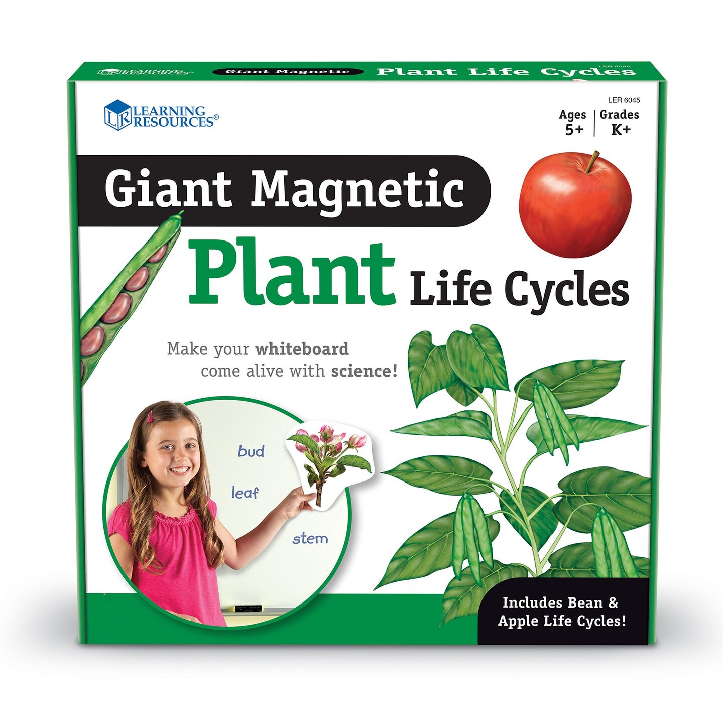 Giant Magnetic Plant Life Cycle, Set of 12