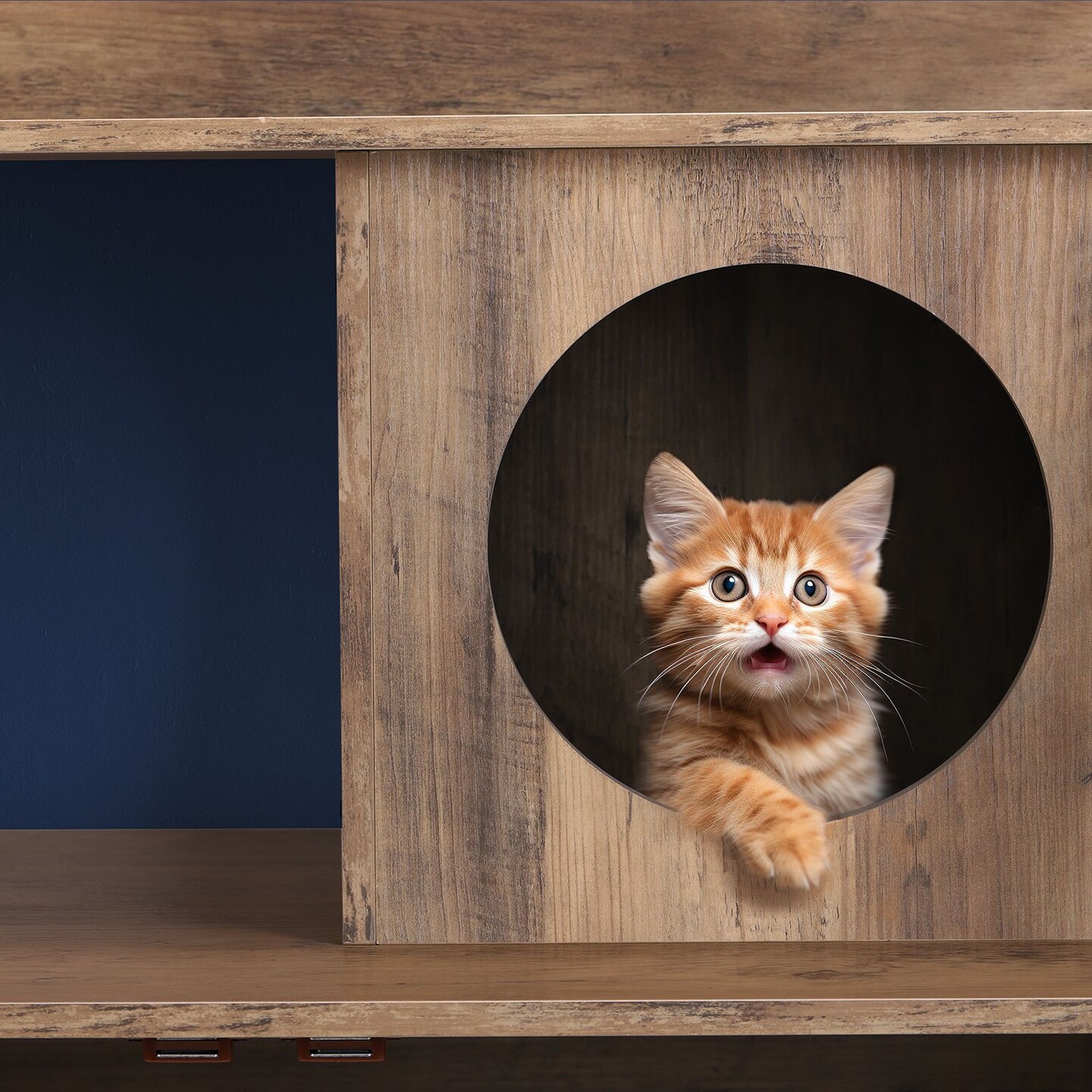 Litter Box Enclosure with Storage Shelves