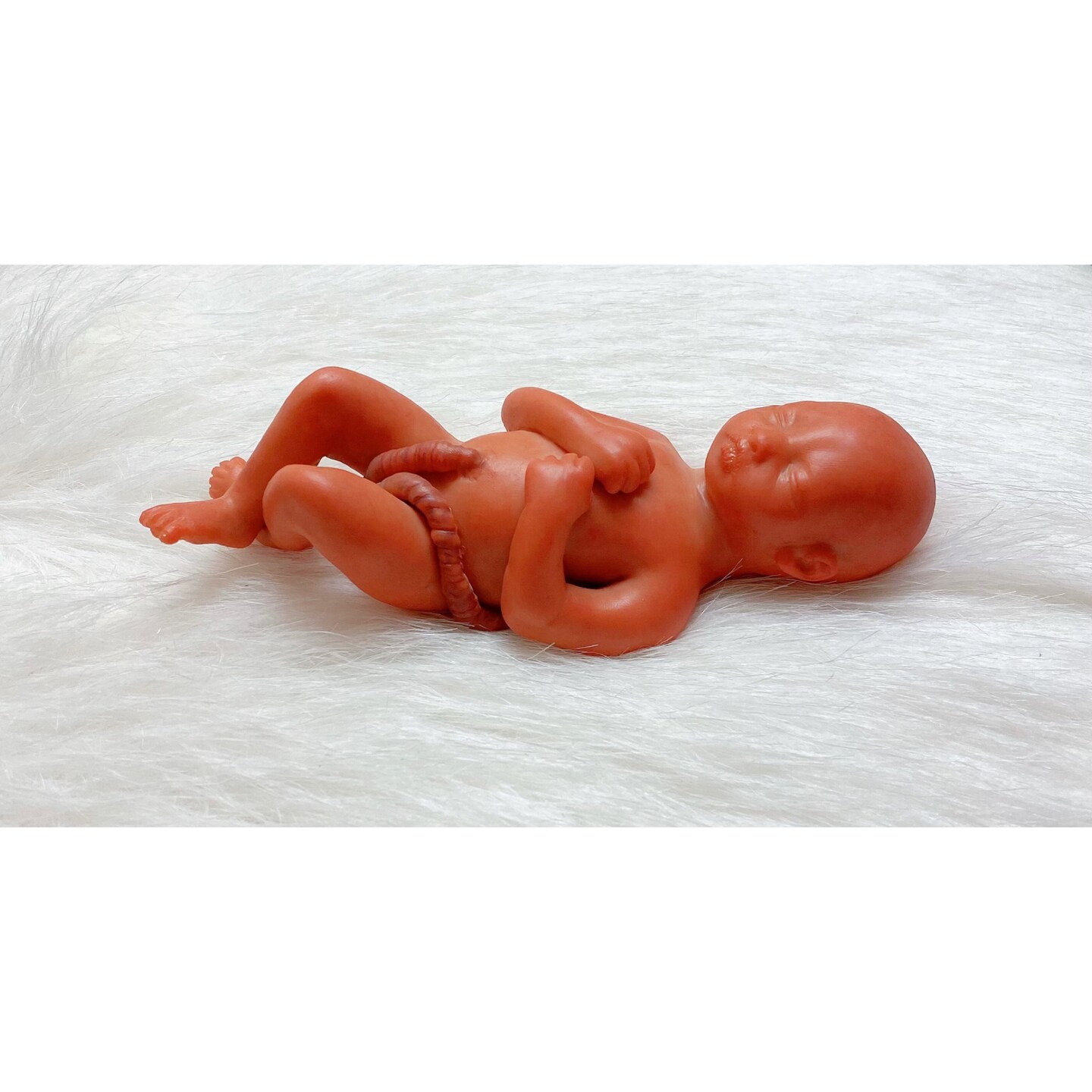 16 Weeks Baby Fetus, Stage of good Fetal Development (Memorial/Miscarriage/Keepsake)