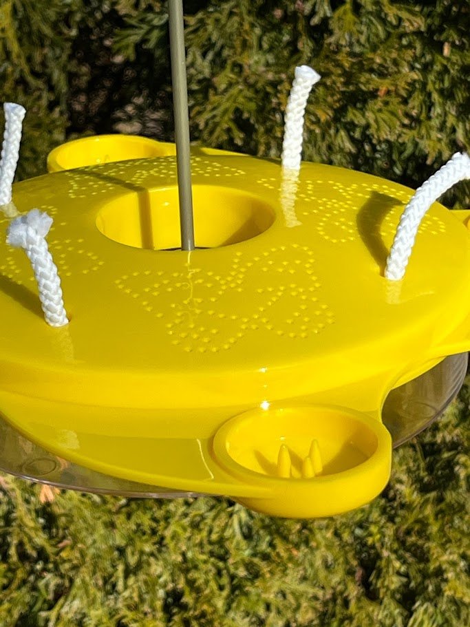Butterfly Feeder