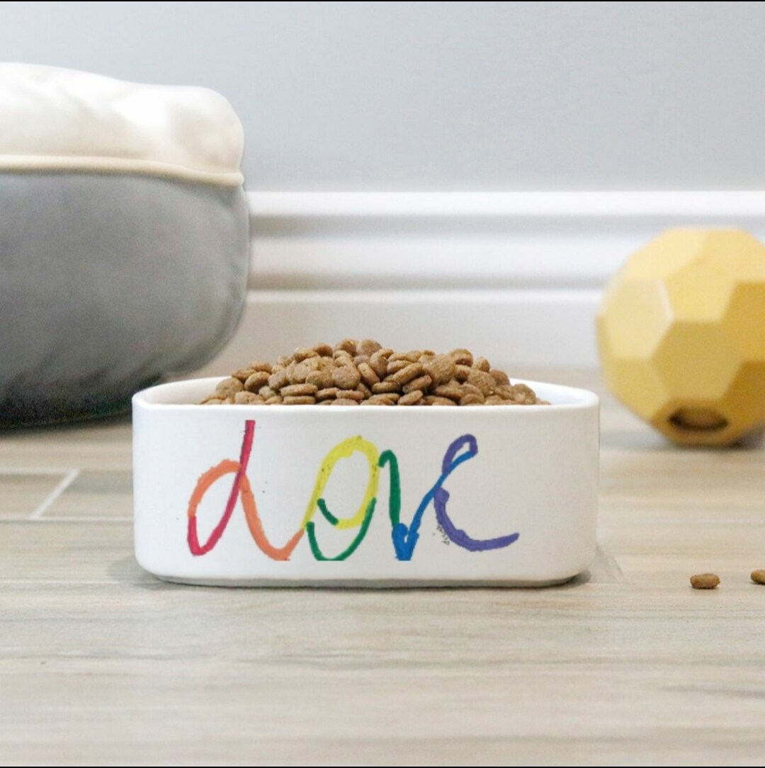 product name is Rainbow Love pet bowl