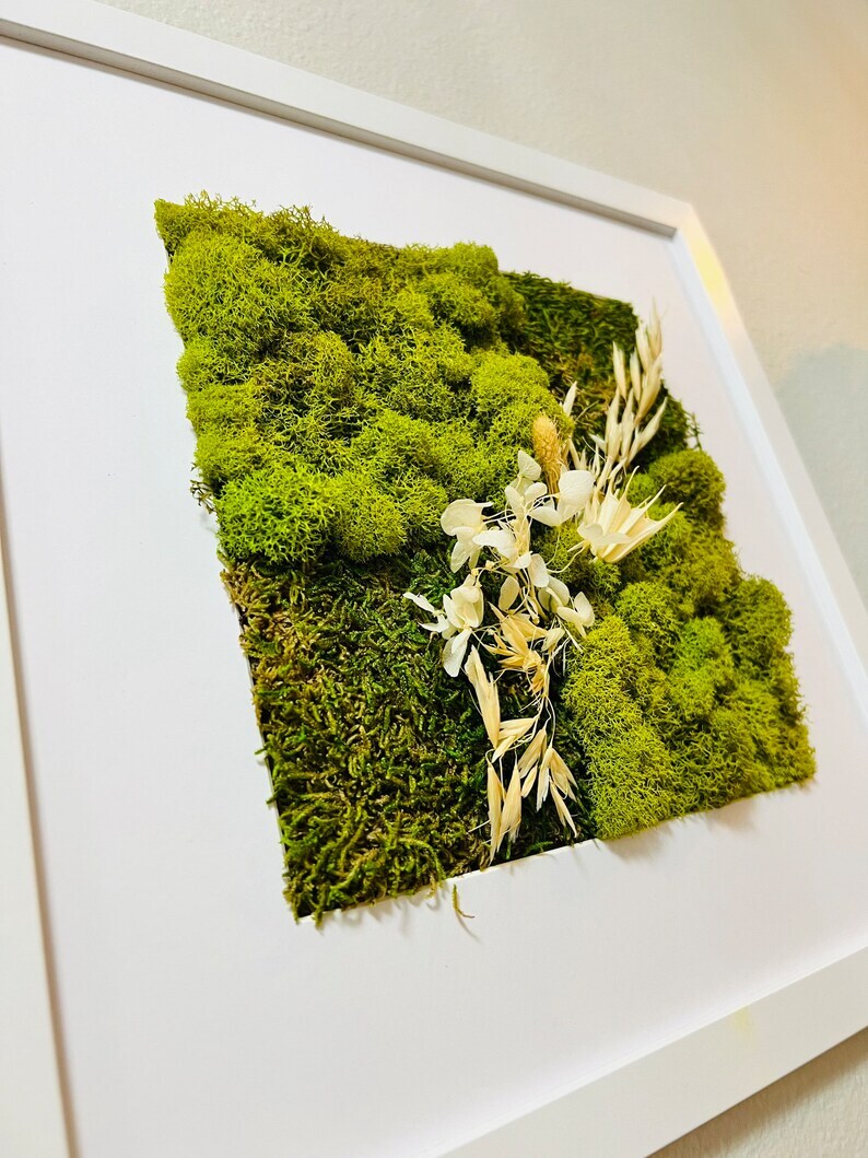 Moss Wall Art, Preserved Moss, floral Moss Frame, Vertical Garden ...