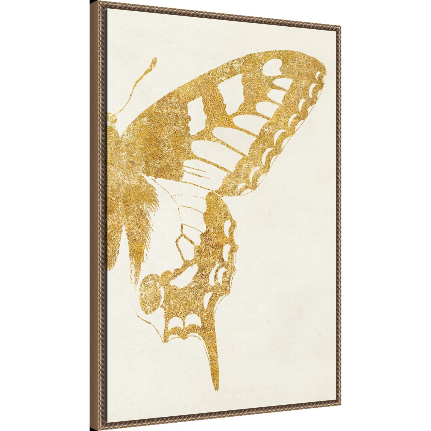 Butterfly Wings II by Wild Apple Portfolio Framed Canvas Wall Art