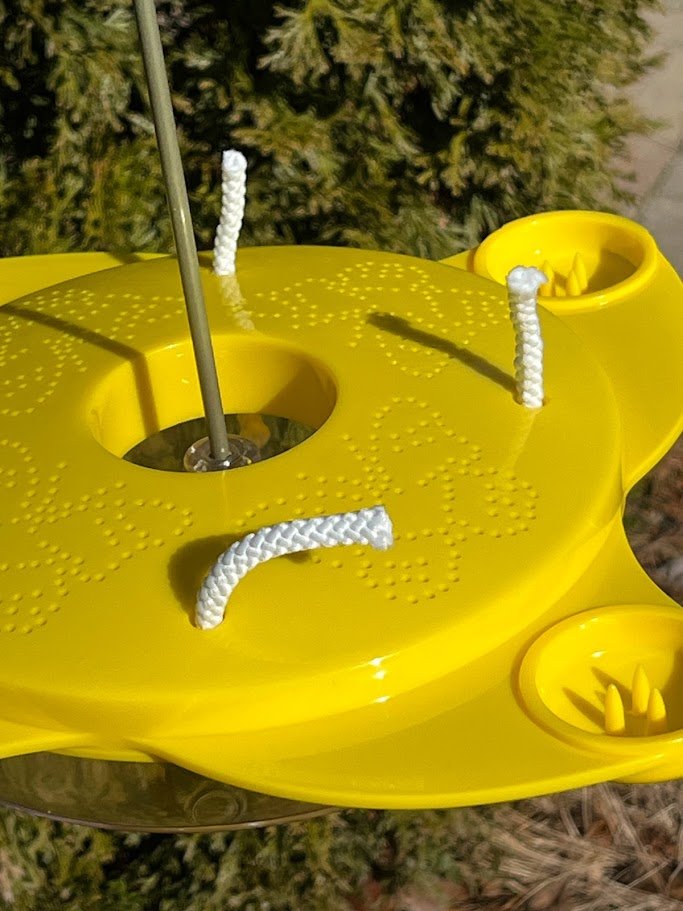 Butterfly Feeder
