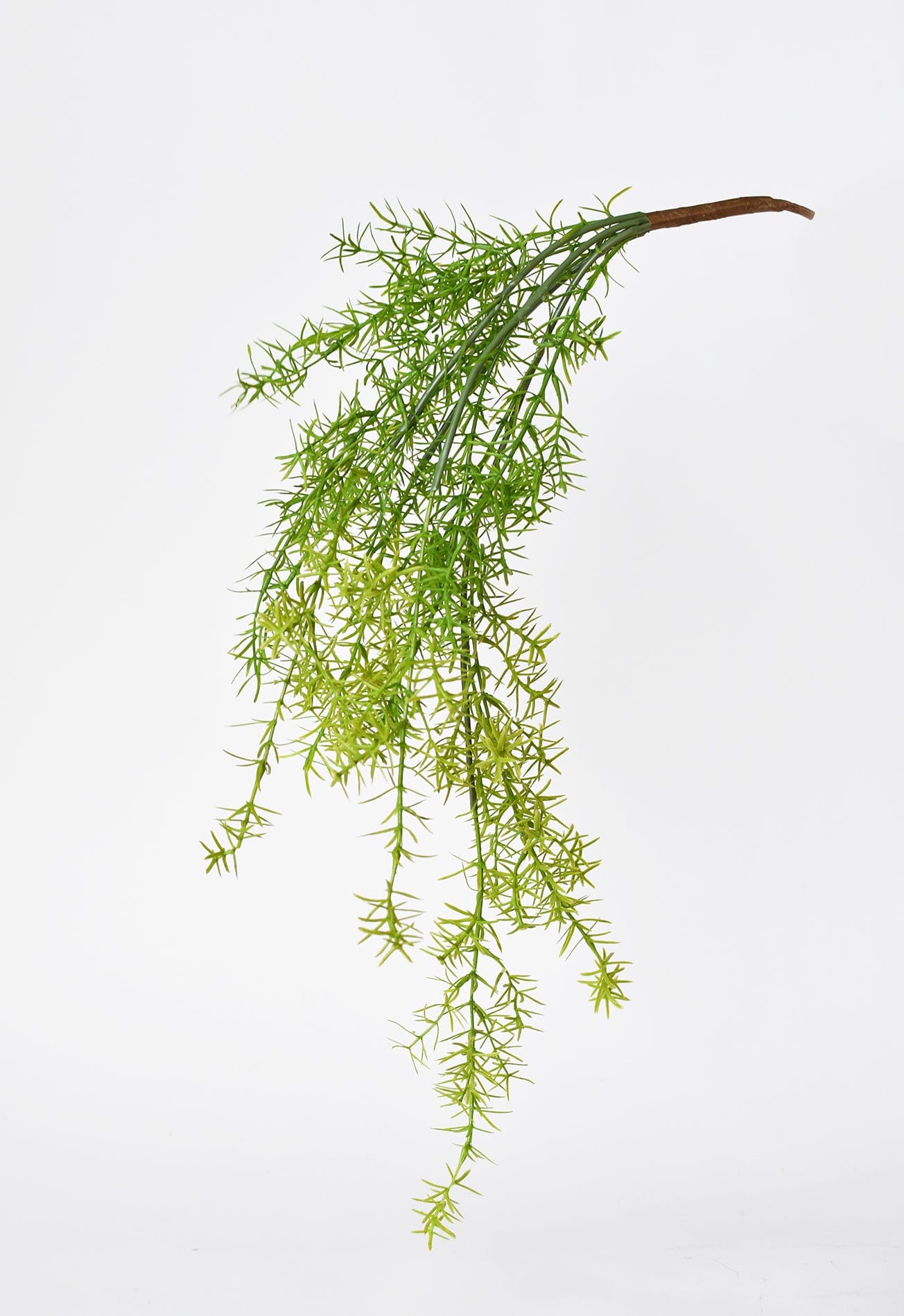 26&#x22; Faux Soft Asparagus Fern Sprengeri Bush
