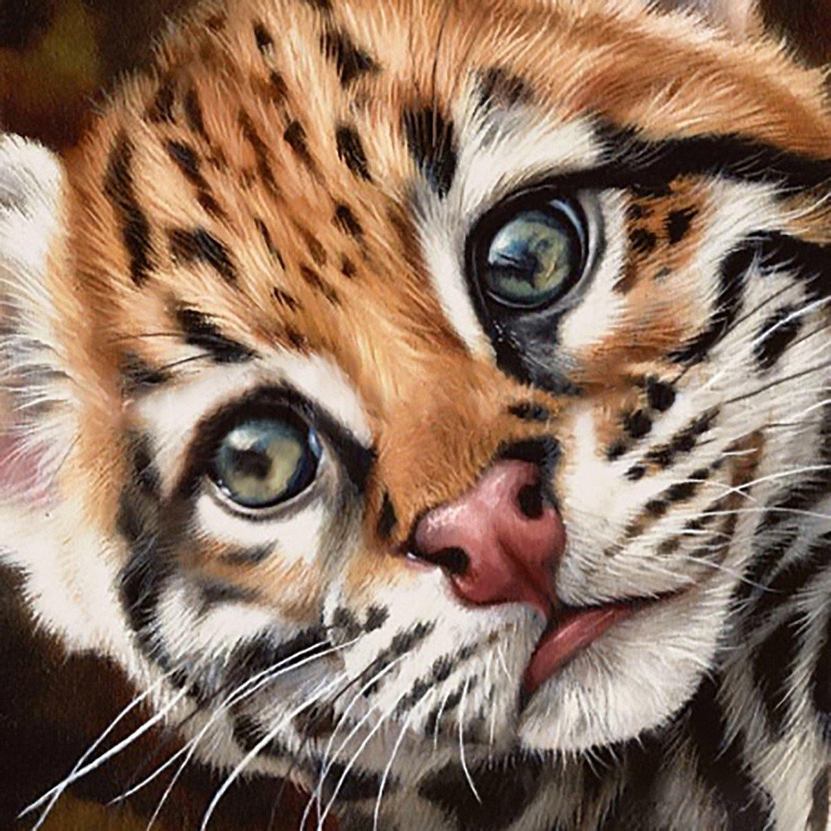 Ocelot Kitten WD2427 14.9 x 14.9 inches Wizardi Diamond Painting Kit