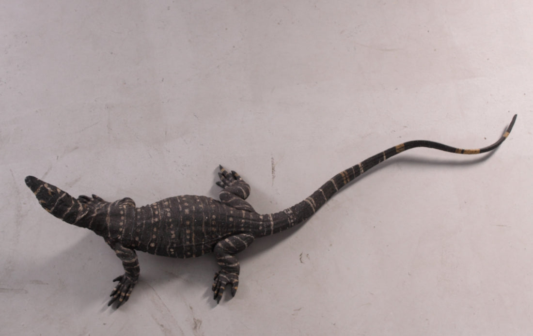 Lace Monitor Life Size Statue