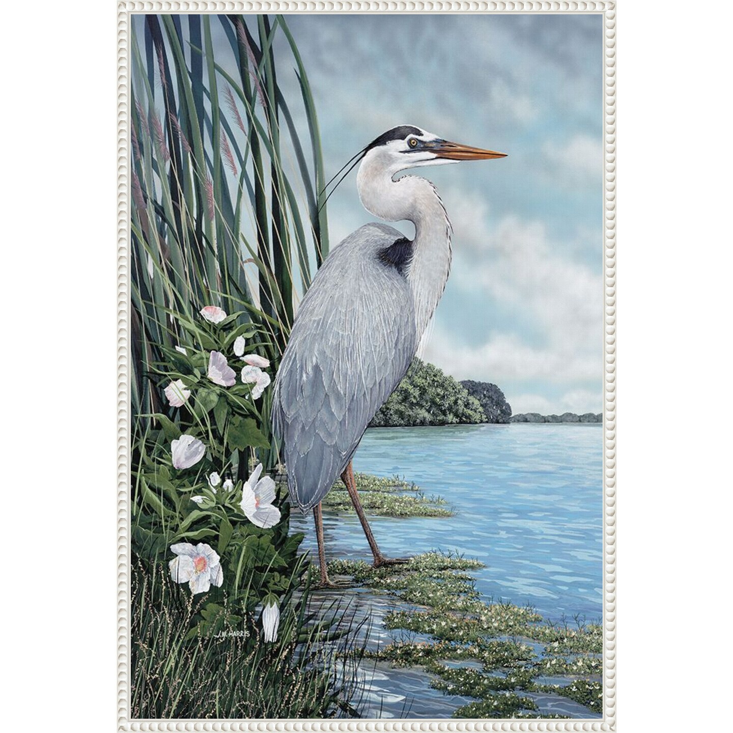 Great Blue Heron by James Harris Framed Canvas Wall Art