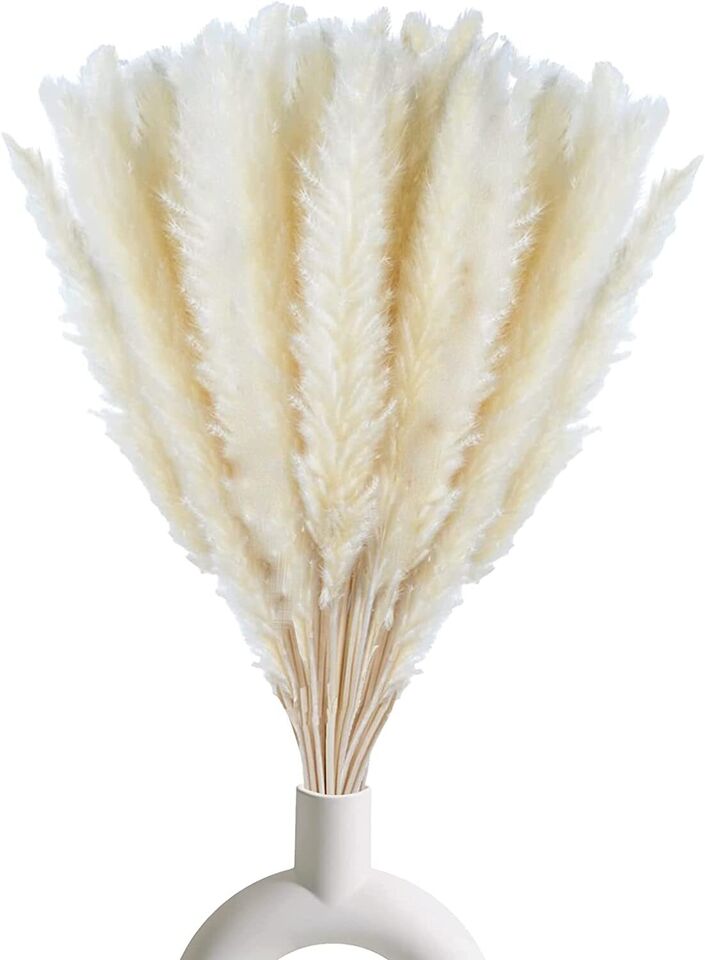 30 Pampas Natural Dried Stems for Stylish Bouquets &#x26; Home Decor