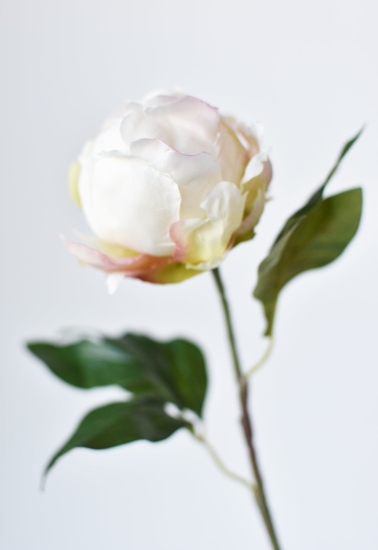 18" Faux Peony Bud Stem White