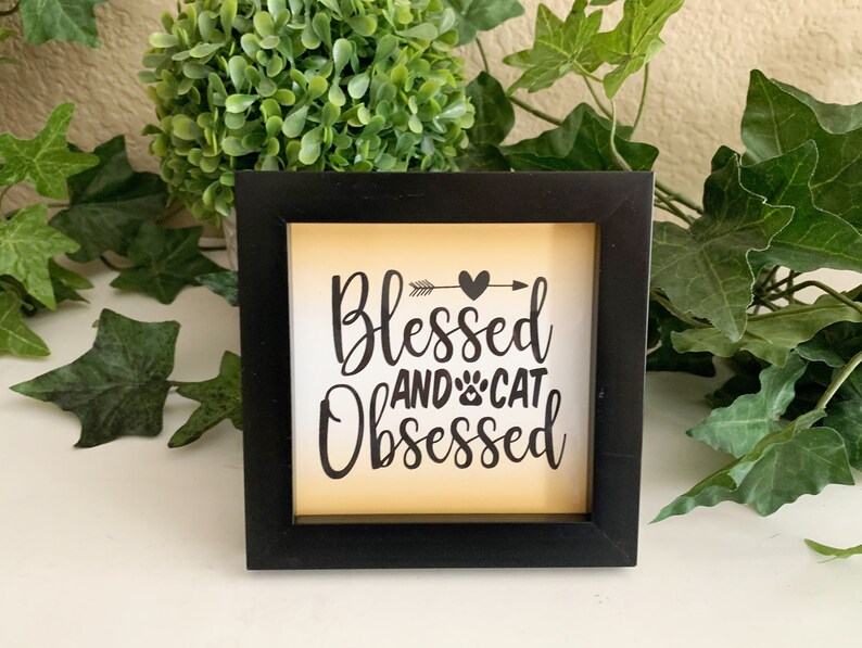 Blessed And Cat Obsessed, 5