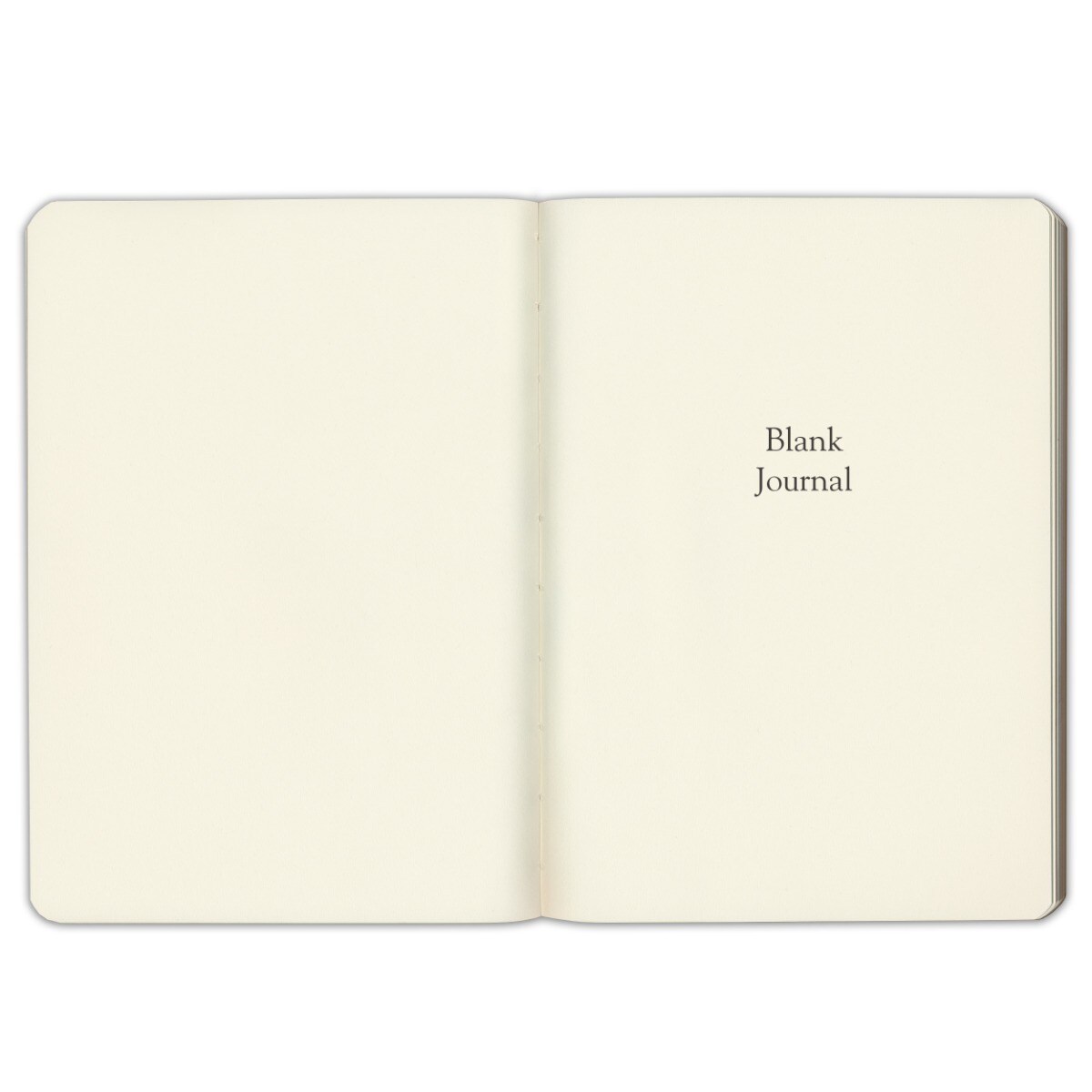 Gallery Leather Blank/Sketch Journal - 192 Pages, Softcover, For Drawing, Sketching, Writing, Work & Travel - 8 x 5.5