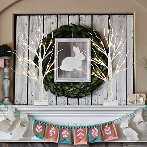 Vanthylit Lighted Tree Christmas Decorations Indoor, White Birch Tree With  LED Lights Battery Powered Timer, Tabletop Tree Winter Decor, Light Up