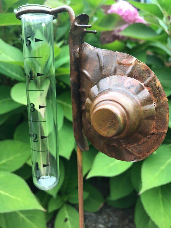 Rain Gauge - Snail