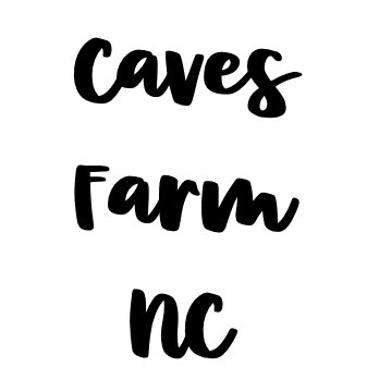 storefront logo
