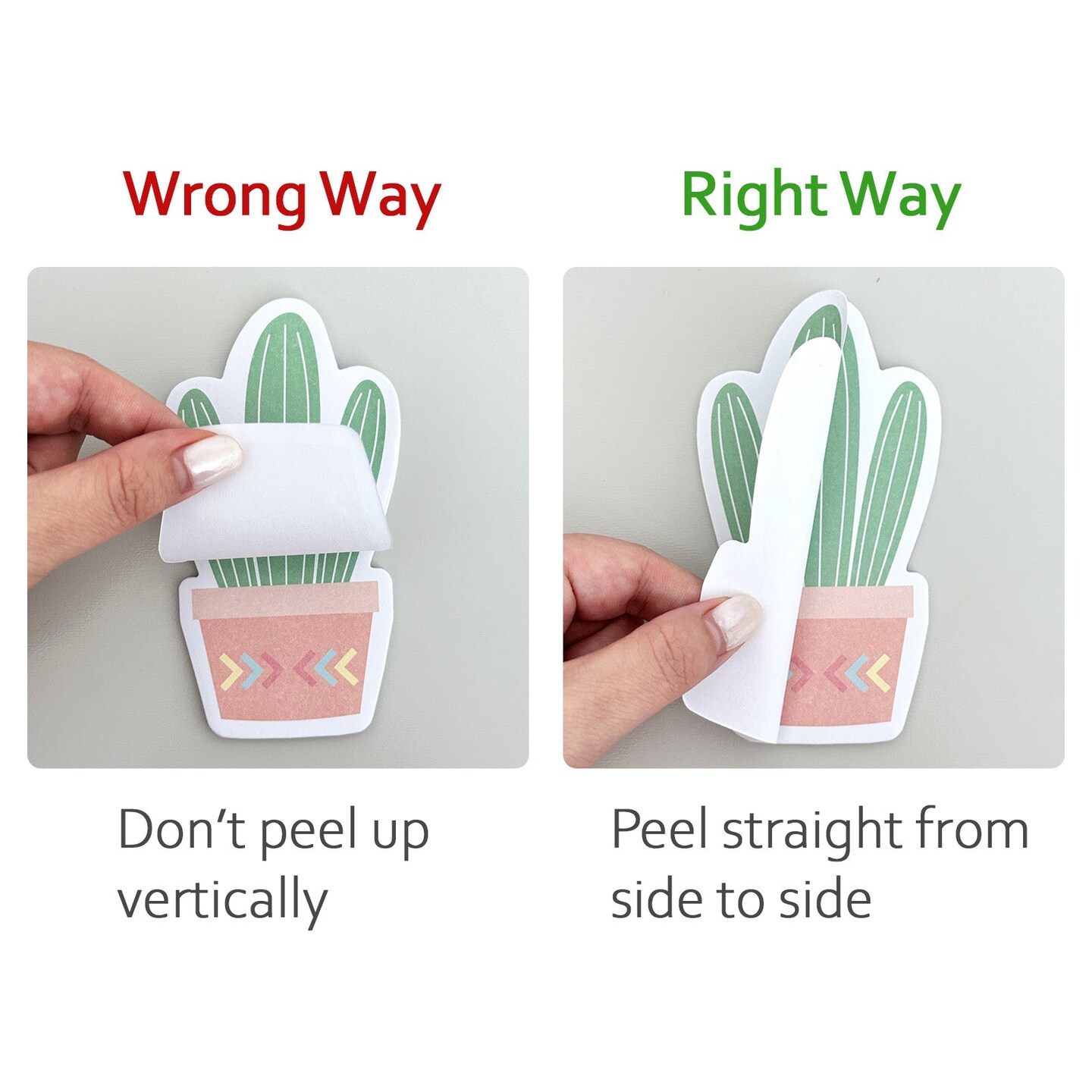 Wrapables Cute Cactus Succulents Sticky Notes, Adhesive Memo Notepads for Home, Office, Work (Set of 6)