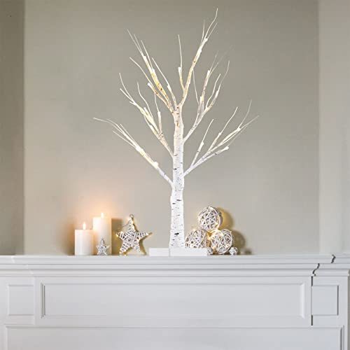 YEAHOME 2FT/24” Birch Tree Light with 24LT Warm White LEDs Battery Powered  Timer for Christmas Decorations Indoor, Money Trees for Xmas Winter Wedding  Desk Table Mantel Home Decor