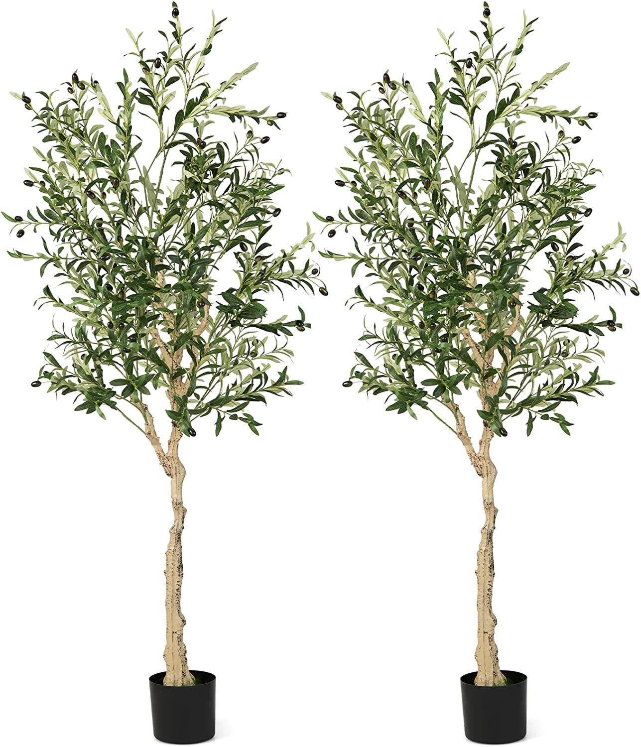 6 Feet Artificial Olive Tree in Cement Pot Perfect Indoor Decoration
