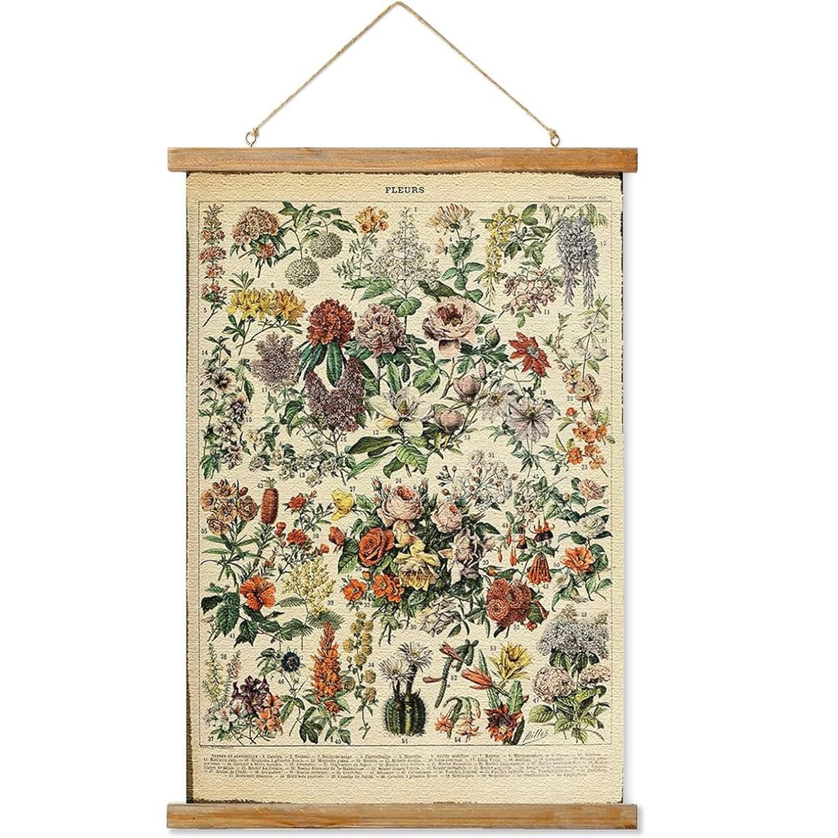 16x23 Inches Hanging Flower Poster with Natural Wooden Frames