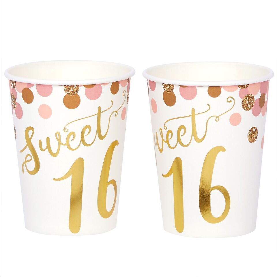 170-Piece Disposable Dinnerware Set for Sweet 16 Party Supplies