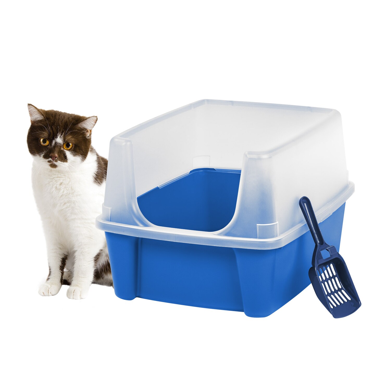 Iris open top cat litter box with litter scoop best sale