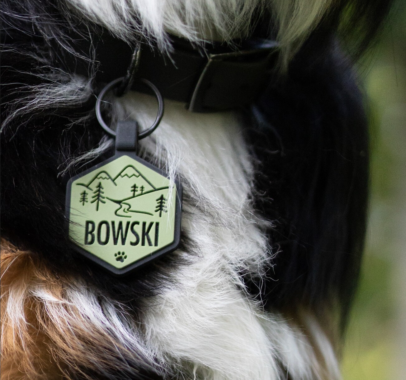 Qalo Custom Qalo Dog Id Tags Silicone Ring Qalo Dog Collar