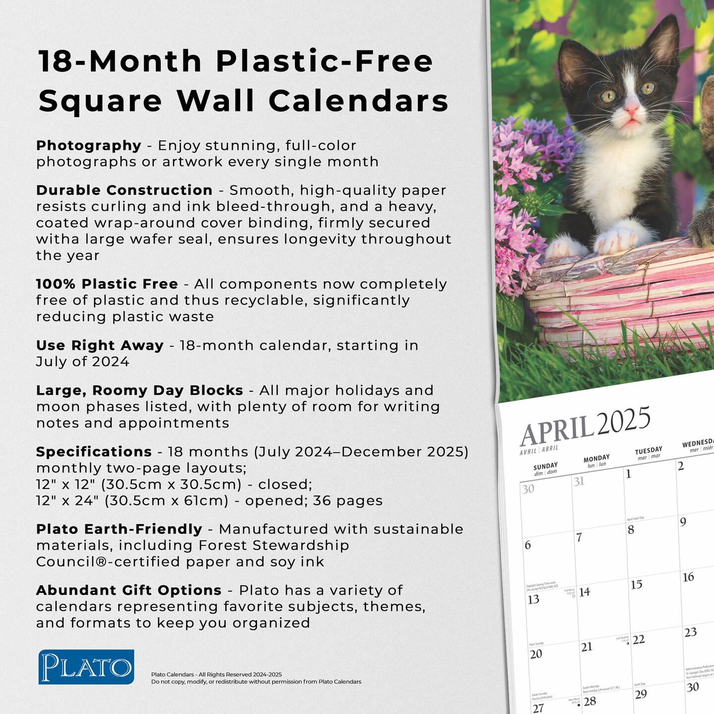 Happy Kittens | 2025 12 x 24 Inch 18 Months Monthly Square Wall Calendar | July 2024 - December 2025 | Plastic-Free | Plato | Animals Cats Feline