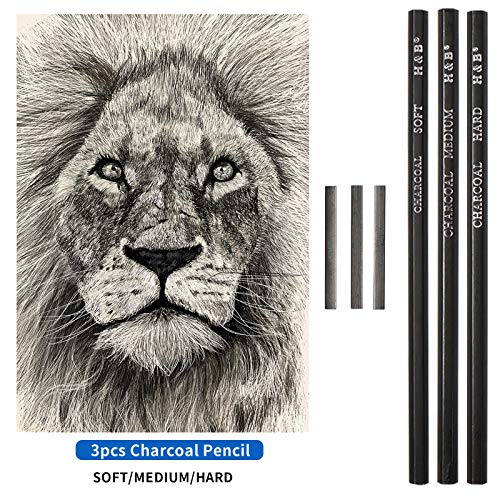 96 Pieces Sketching and Drawing Colored Pencils Set,Art Supplies Painting Graphite Professional Art Pencils Kit,Gifts for Teens & Adults Drawing Charcoal Tool Set
