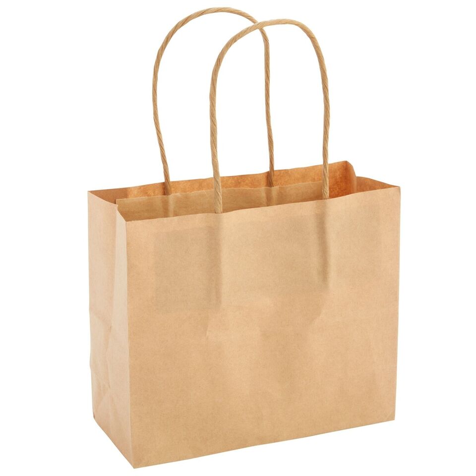 50 Pack Small Kraft Paper Gift Bags