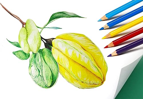 50 Pieces Colored Pencils,50 Vibrant Colors, Drawing Pencils for Sketch, Arts, Coloring Books, Christmas Halloween Gifts