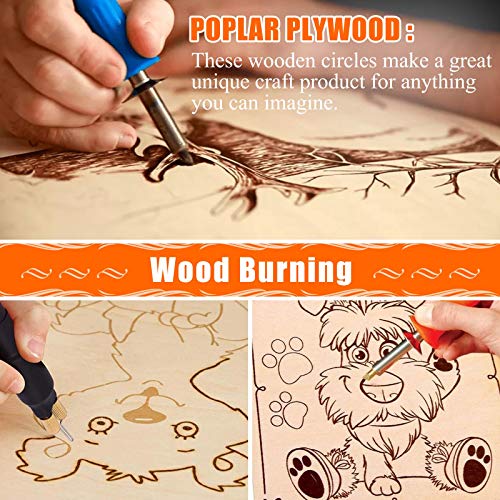 5 Pieces Round Wood Discs for Crafts, Audab 14 Inch Wood Circles Unfinished Wood Rounds Plaque for Door Hanger, Door Design, Wood Burning