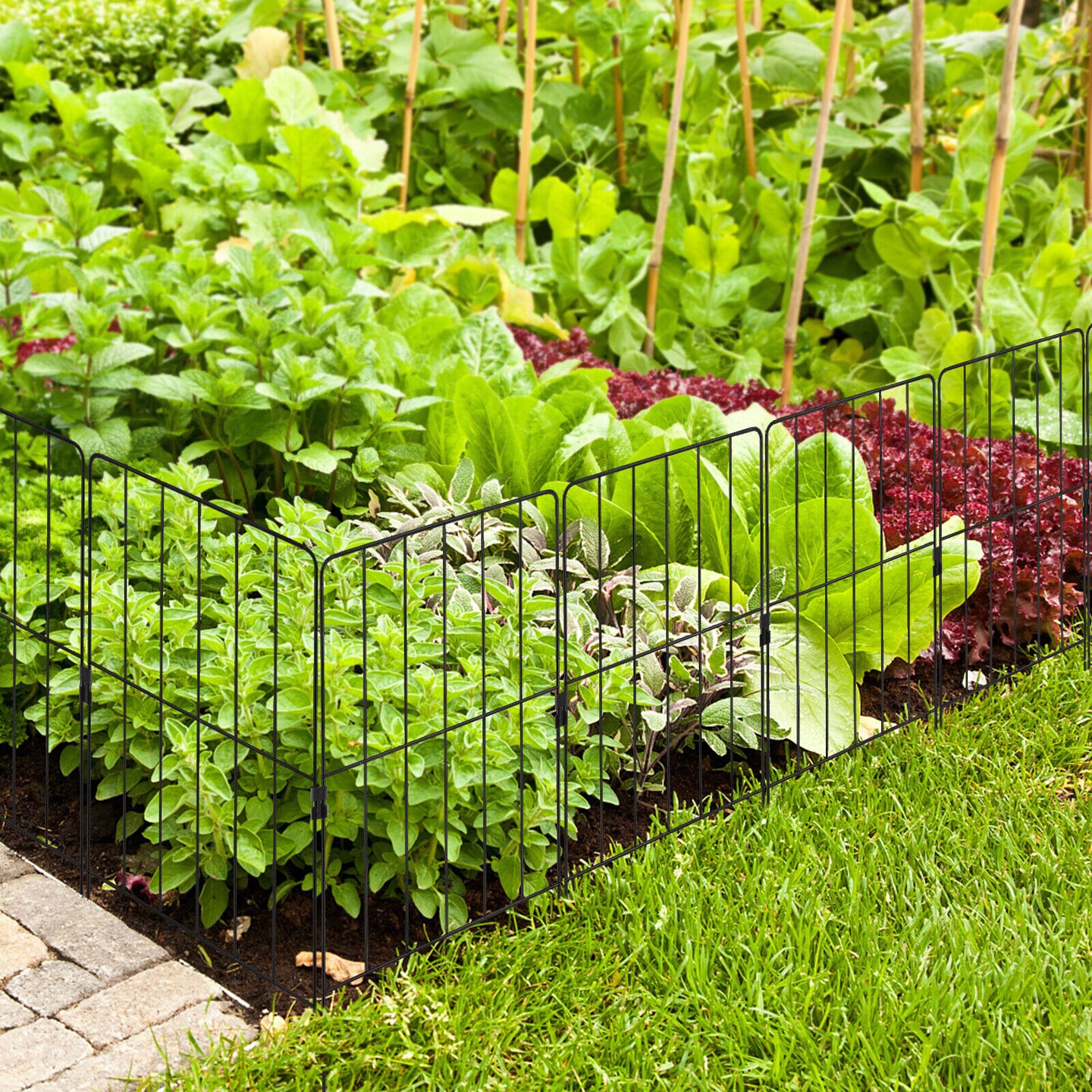 25 Pack Rustproof Decorative Garden Fence Set