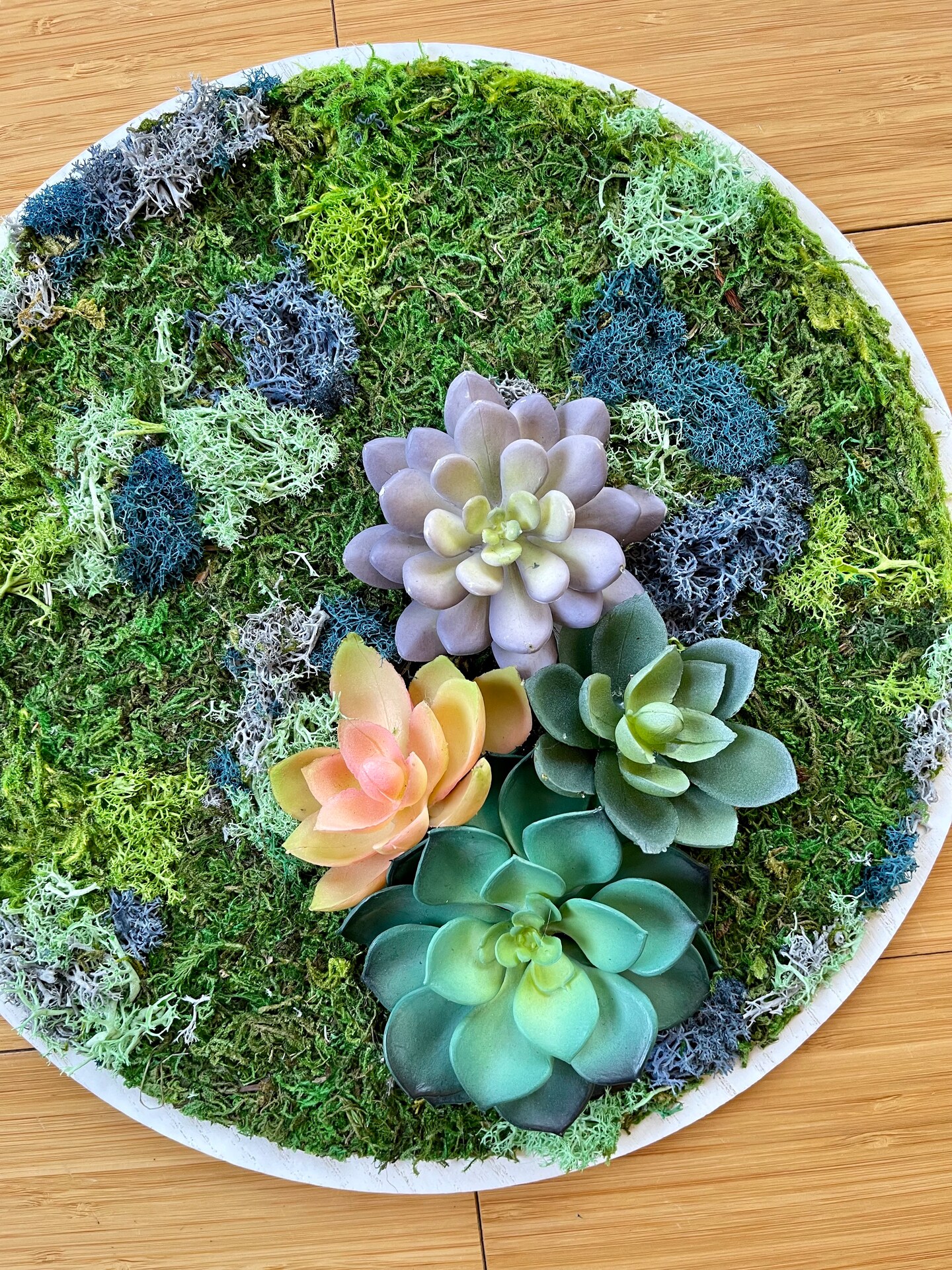 Custom Moss Wall Art Round Frame, Preserved Moss Art, Succulent Art, Spring  Artwork, Nature Home Decor | MakerPlace by Michaels