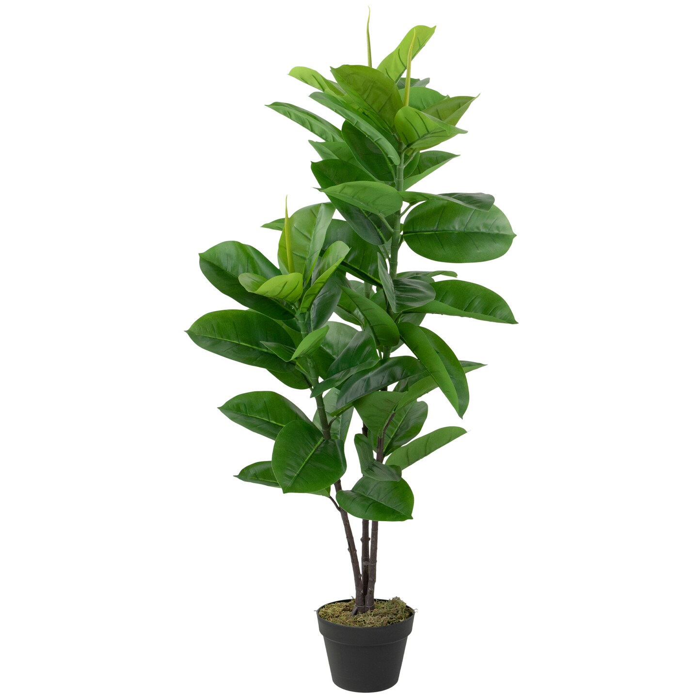 Northlight 51&#x22; Artificial Green and Brown Potted Rubber Plant