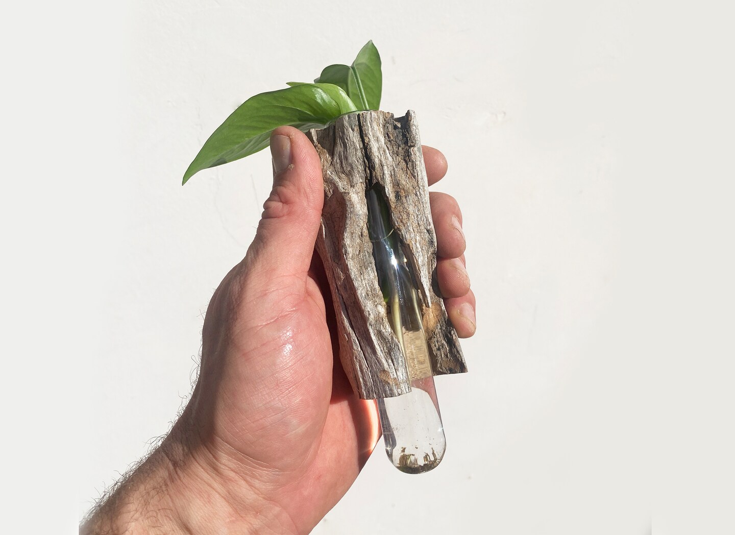 Authentic Handmade Plant Vase DriftWood Plant Propagation Beach