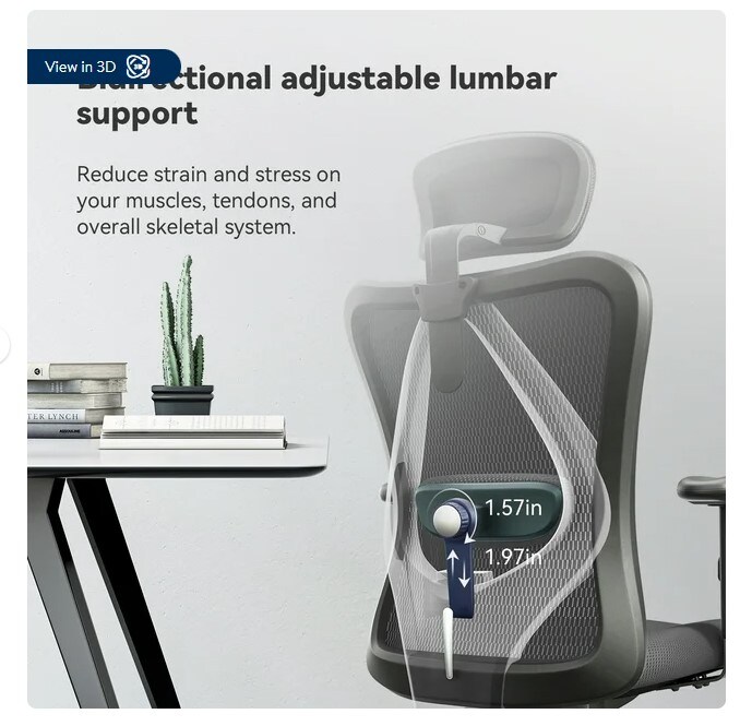 Ergonomic Office Chair, Mesh Computer Desk Chair with Adjustable Lumbar Support, Big and Tall High Back Chair in Black