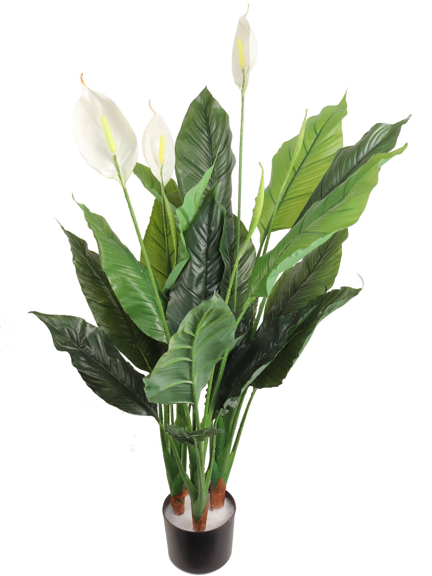 42&#x22; White Spathiphyllum Plant in Black Pot with 24 Silk Leaves by Floral Home&#xAE;