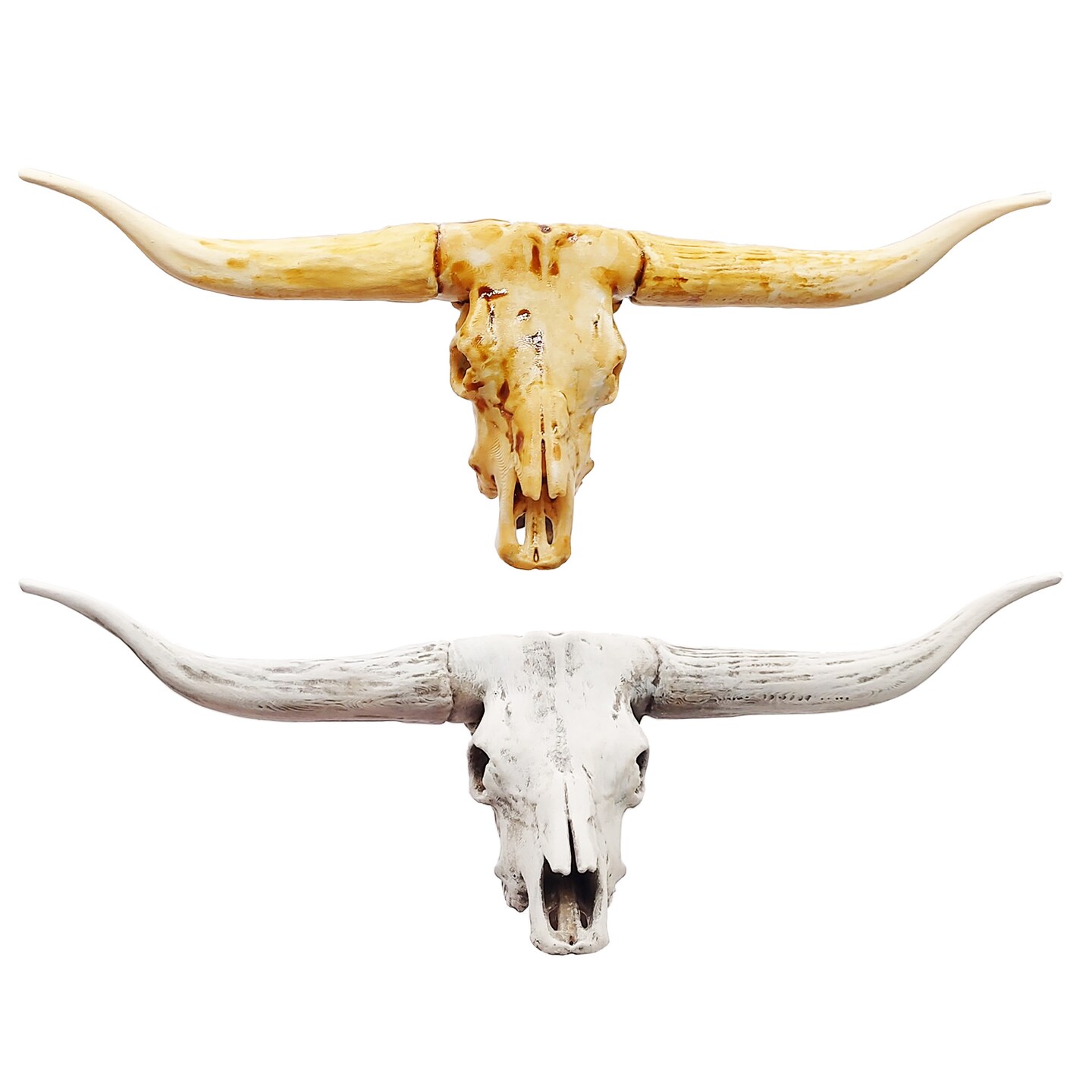 Texas Longhorn Skull - 1:12 scale, replica bison cranium