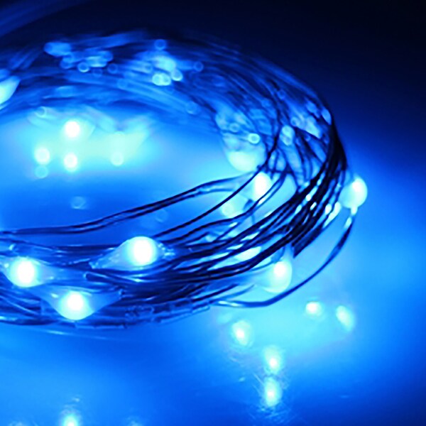 Perfect Holiday 30 LED Copper Fairy String Lights - Battery Operated